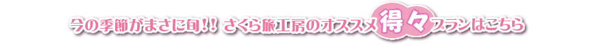 今の季節がまさに旬!! さくら旅工房のオススメ得得プランはこちら